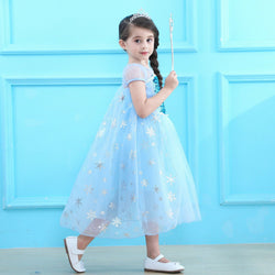 Blue Party Costume Princess Dress